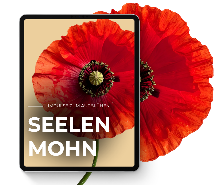 Seelenmohn-Newsletter - Impulse zum Aufblühen